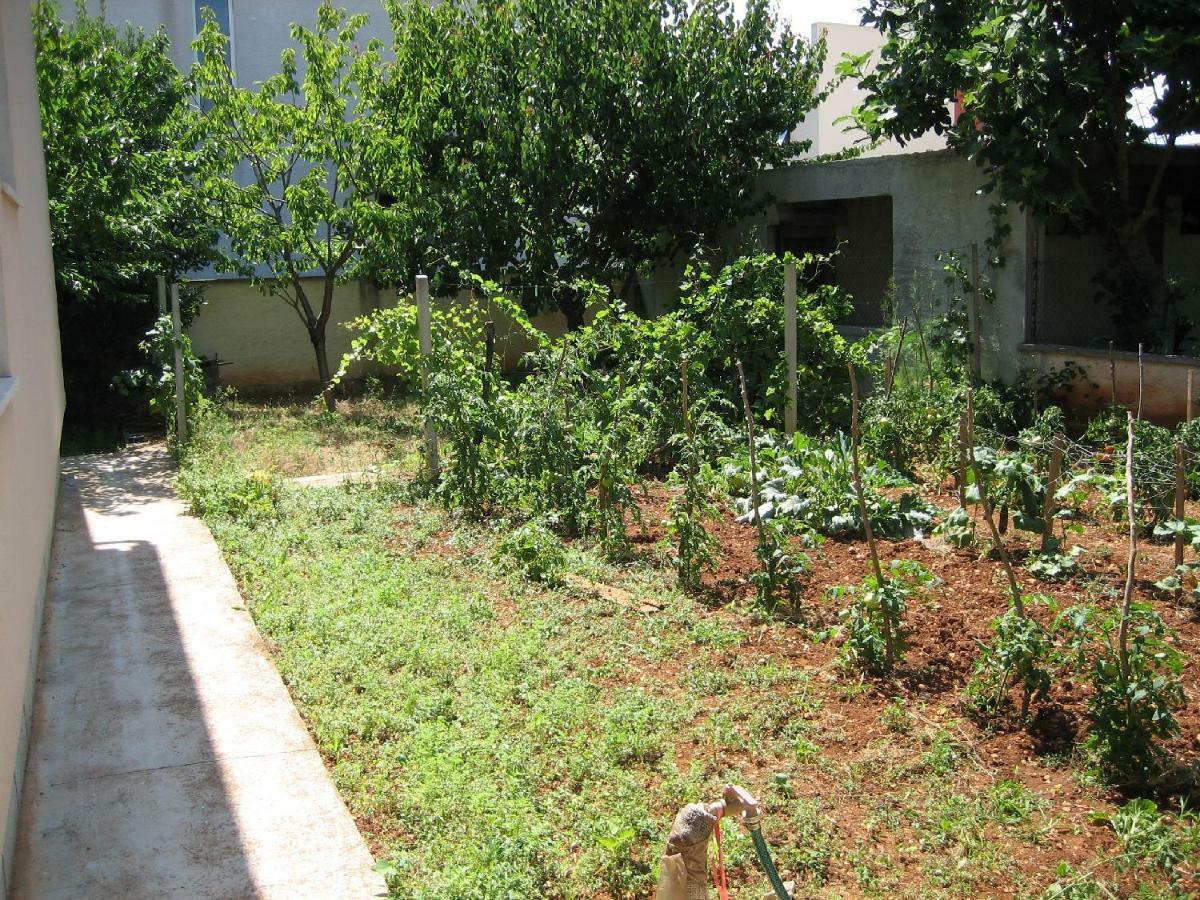 Tihi Apartman زادار المظهر الخارجي الصورة